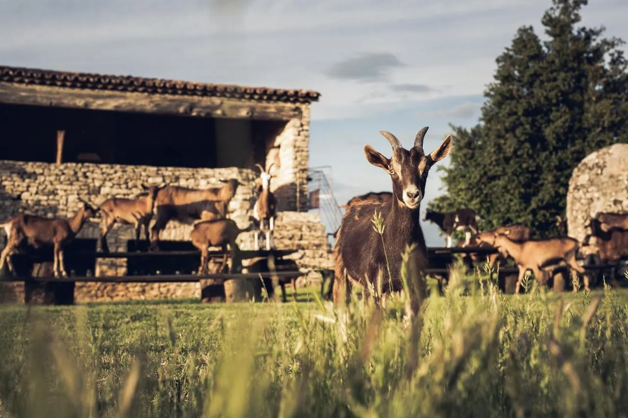 Le Domaine Du Castellas Sivergues